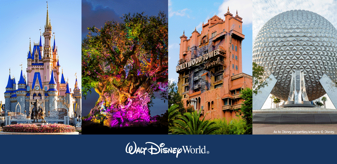 WDW Meeting-Convention Ticket Banner